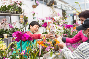 臺灣國際蘭展進入倒數，賞花買花或是購買農產品、加工品趁現在，有些產品還下殺到5折。