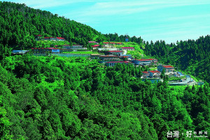 太平山夜觀灰林鴞，已成生態觀察熱點。（圖／羅東林區管理處提供）