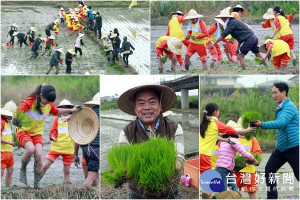 壯圍稻秧體驗，大人小孩樂在其中。（圖／記者陳木隆攝）