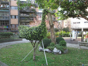 龍陣二號公園養綠雕　彷彿置身動物園