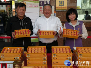 太平枇杷評鑑，農會理事長和總幹事均說好吃。（圖／林重鎣攝）