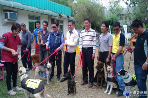 台南市善化動物之家推毛小孩再進化，民眾認養率明顯提升。(記者/黃芳祿攝)