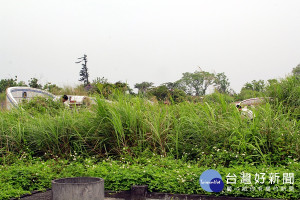 清明時節若接觸草叢環境必須慎防恙蟲叮咬。（圖／記者陳木隆攝）.jpg