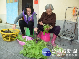 大安區長周琇茹三十日訪視九十四歲阿嬤洪李英嬌，問及養生之道時

，阿嬤說，這是如同現在揀菜、曬衣服等工作都是她養生之道。（記

者陳榮昌攝）