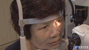 白內障患者10年增5成　視力惡化恐失明