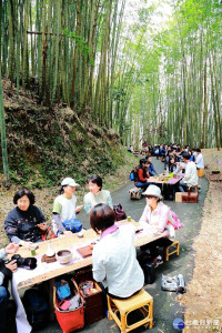 阿里山茶、生態主題旅遊開跑，帶您翱遊螢色星海。