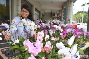 愛心花農提供蘭花義賣，即日起在北台南家扶展售。(圖／黃芳祿攝)