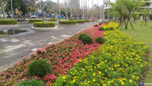 迎接2017世大運，北市打造花園城市綠美景