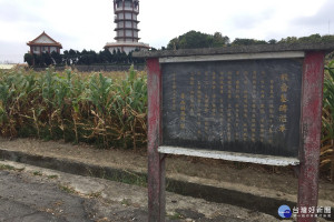 百年飛番古墓隱藏在茂密玉八田裡，數十年來傳出[背墓」後會少人軼事，平埔族後裔也無法前往祭拜。(記者/黃芳祿攝)