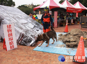 為強化救災應變處置能力與搶救效能，樹林區公所辦理年度災害防救演習。（圖／記者黃村杉攝）