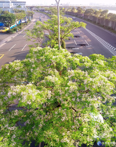 （圖／台北市政府工務局公園路燈工程管理處提供）