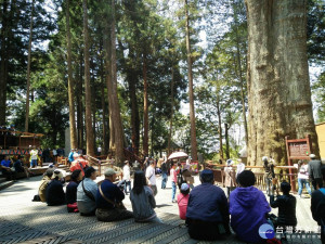 阿里山花季謝幕 音花饗宴精采呈現