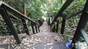 集集鎮獅頭山登天步道。