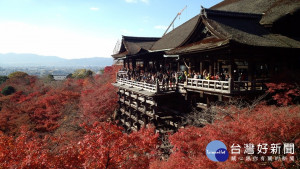 旅遊搜尋引擎Skyscanner日前公布一向調查，台灣人愛去日本旅遊的主因竟不是旅遊景點多、東西很好買，而是認為日本治安良好，環境乾淨整潔。（圖／Pixabay）