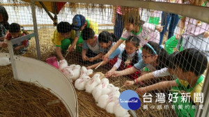 微笑牧場餵食活動，有「兔遊田園區」，吸引不少大小朋友排隊餵食。