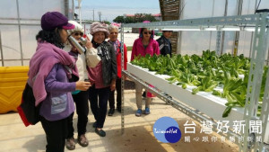 桃園農博「植物工廠」，示範最新LED植物燈，結合水耕技術及營養液技術，打造無污染的生長空間。