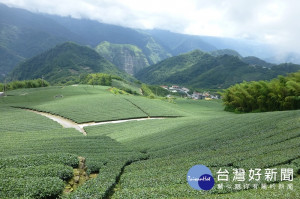 貓空（圖／資料照片）