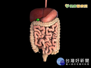 豬哥亮大腸癌已肝轉移　積極治療仍可控制