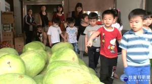 食農教育從小扎根 頂埔幼兒園訪農會