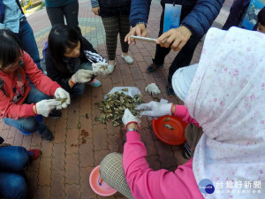 「彳亍七股─慢遊蚵的故鄉」，台江國家公園誠摯邀請。