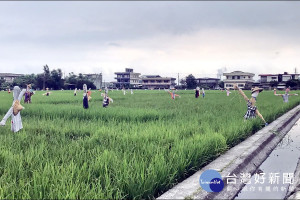 宜蘭綠博大地藝術區的稻草人。（圖／劉熙娟攝）