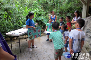 甲蟲體驗營（圖／台北市立動物園提供）