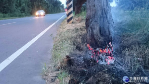 警消發現一個人環抱的枯樹幹已經燒毀2分之一。
