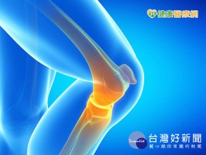 年輕人也有退化性關節炎　應及早「肌」極運動