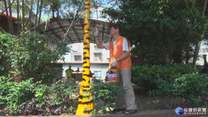 承德里公園路燈彩繪　動物意象美化環境