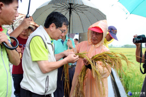 市長暨市府團隊探望稻伏農損農民