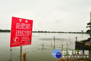 觀音區魚池再驗出1例「吳郭魚湖泊病毒病」，目前共驗出7例陽性場，已進行移動管制 。