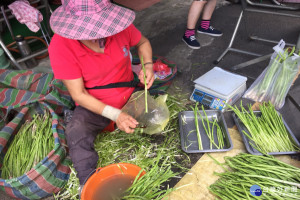 蘆筍根部位置過老，農婦得削皮後再另售，現有農會研發老梗製成蘆筍香鬆。（圖／記者黃芳祿攝）