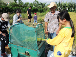 推動食農教育　溪州鄉師生生態農田辛苦收割慶豐收