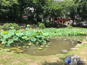 蓮花池再造。（圖／台北市政府工務局提供）