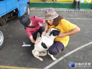 ▲為解決原鄉地區因地處偏遠無動物醫院，高市動物保護處自106年7月起將啟動原鄉狂犬病疫苗注射計畫。（圖／記者郭文君攝）