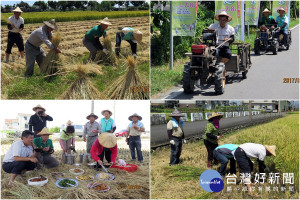 五結割稻趣活動。（圖／五結鄉公所提供）