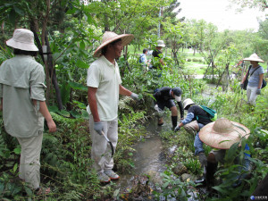 大安森林公園生態復育　公民團體設志工辦公室相助