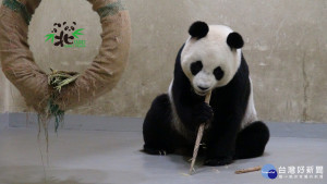 （圖／臺北市立動物園提供）