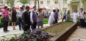 田園療癒　陽明醫院闢御菜園