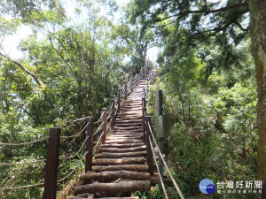 大坑登山步道