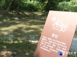 草草草原再進化 生態池蛙鳴鳥叫