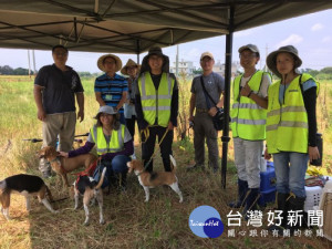 桃園市政府農業局以及國家紅火蟻防治中心合作，共同推廣生態教育。