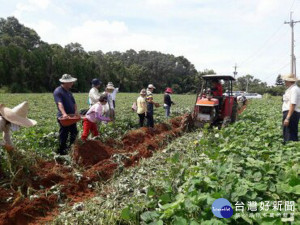 農試所辦食農教育。林重鎣攝