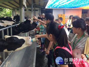 「動物farm程式」　一日動物小褓姆