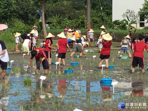 大溪辦理農村季活動，邀請請學生和民眾一起插秧，感受當農夫的辛勞。（圖／記者陳寶印攝）