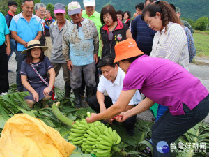 全力保障農友權益　花蓮縣允諾負擔農損差額