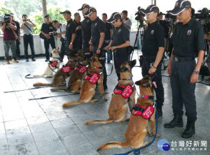 確保世大運體育賽事選手及觀眾安全，警犬隊偵爆訓練2日進行驗收。（圖／記者黃村杉攝）