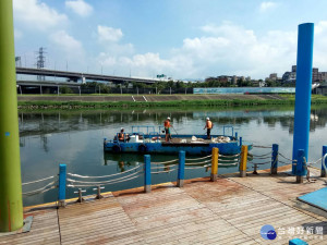 基隆河上游大量死魚　北市加派人力打撈