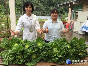 屋頂變菜園　北市聯合醫院成為新標竿