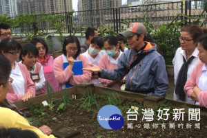 水泥屋頂變菜園　 聯醫松德院區成綠屋頂標竿